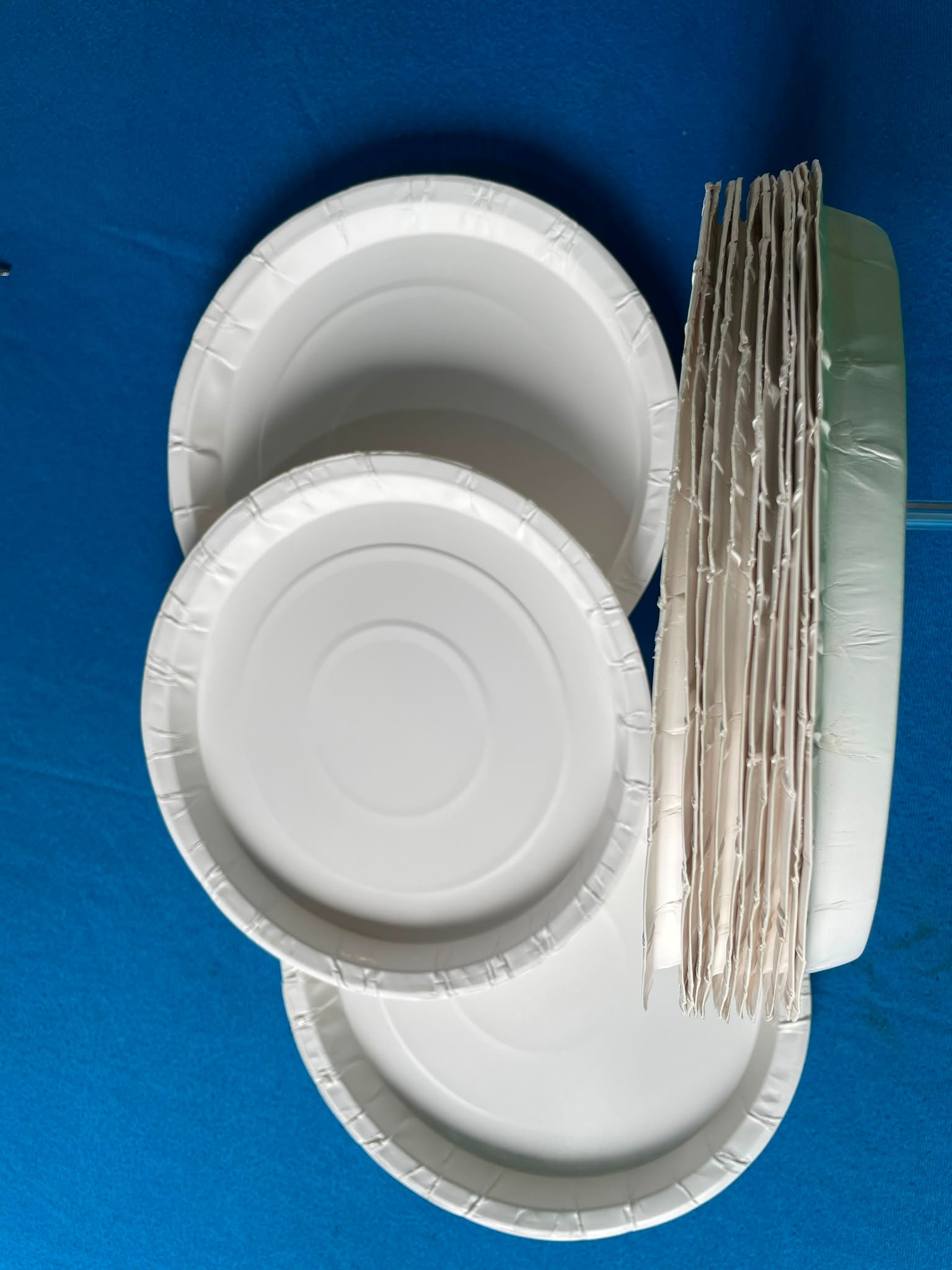 12 inches, 1 inch deep ceremony’s plate (dozen).